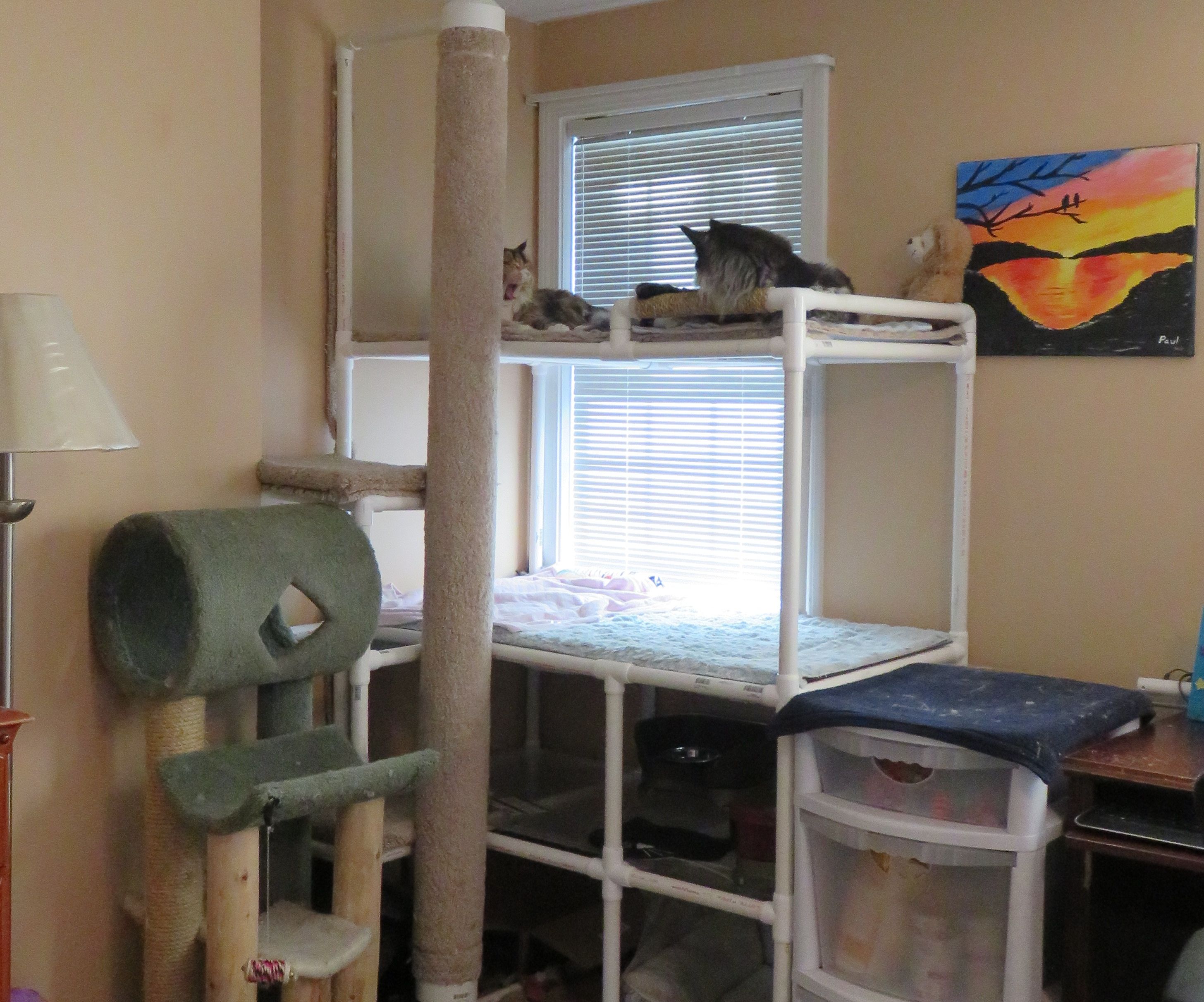 Cat Tower With 6 Foot Scratching Pole
