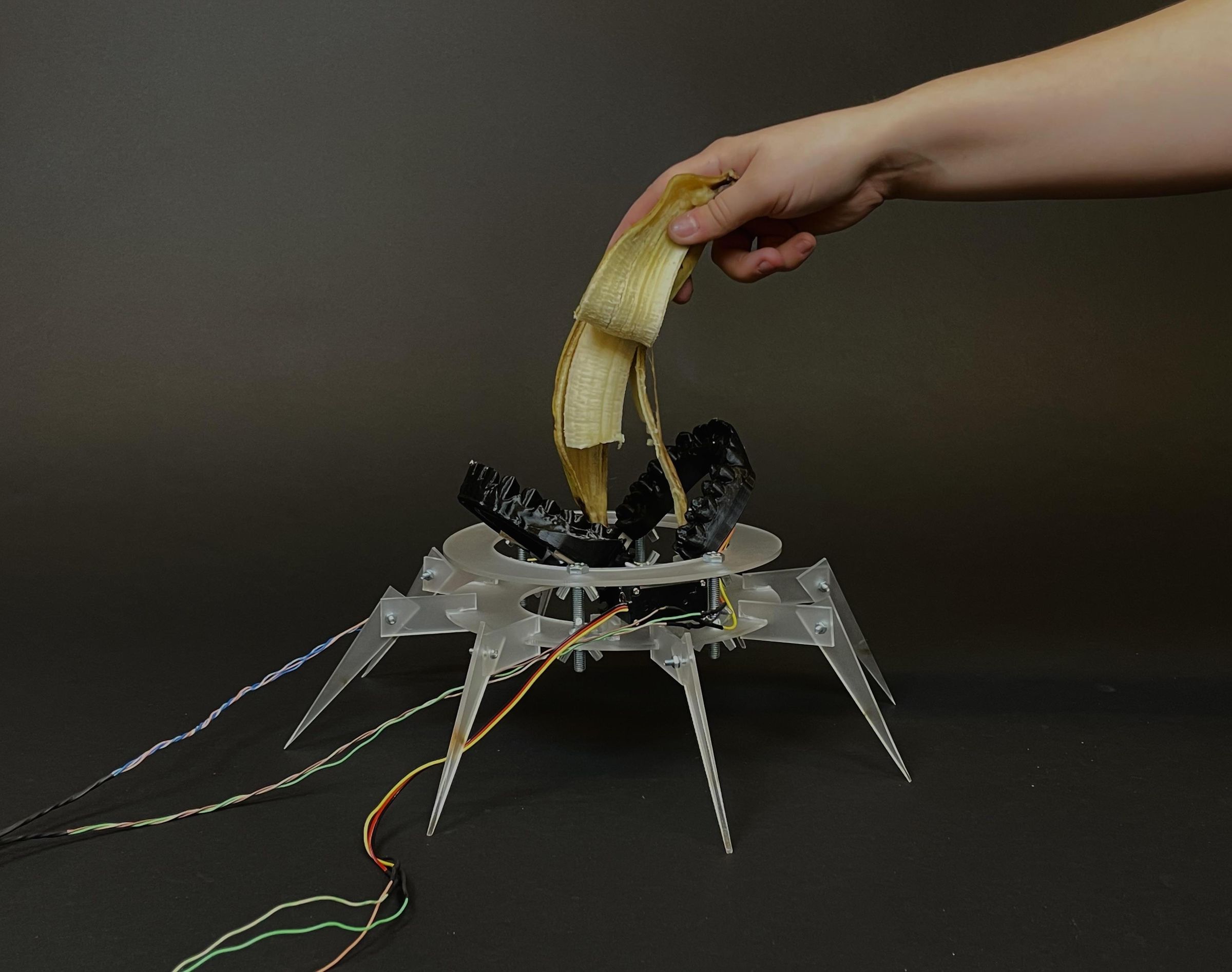 A Robot That Tries to Chop Up Soft Vegetables and Fruits With a Light Sensor. a Salat Maker If You Will.