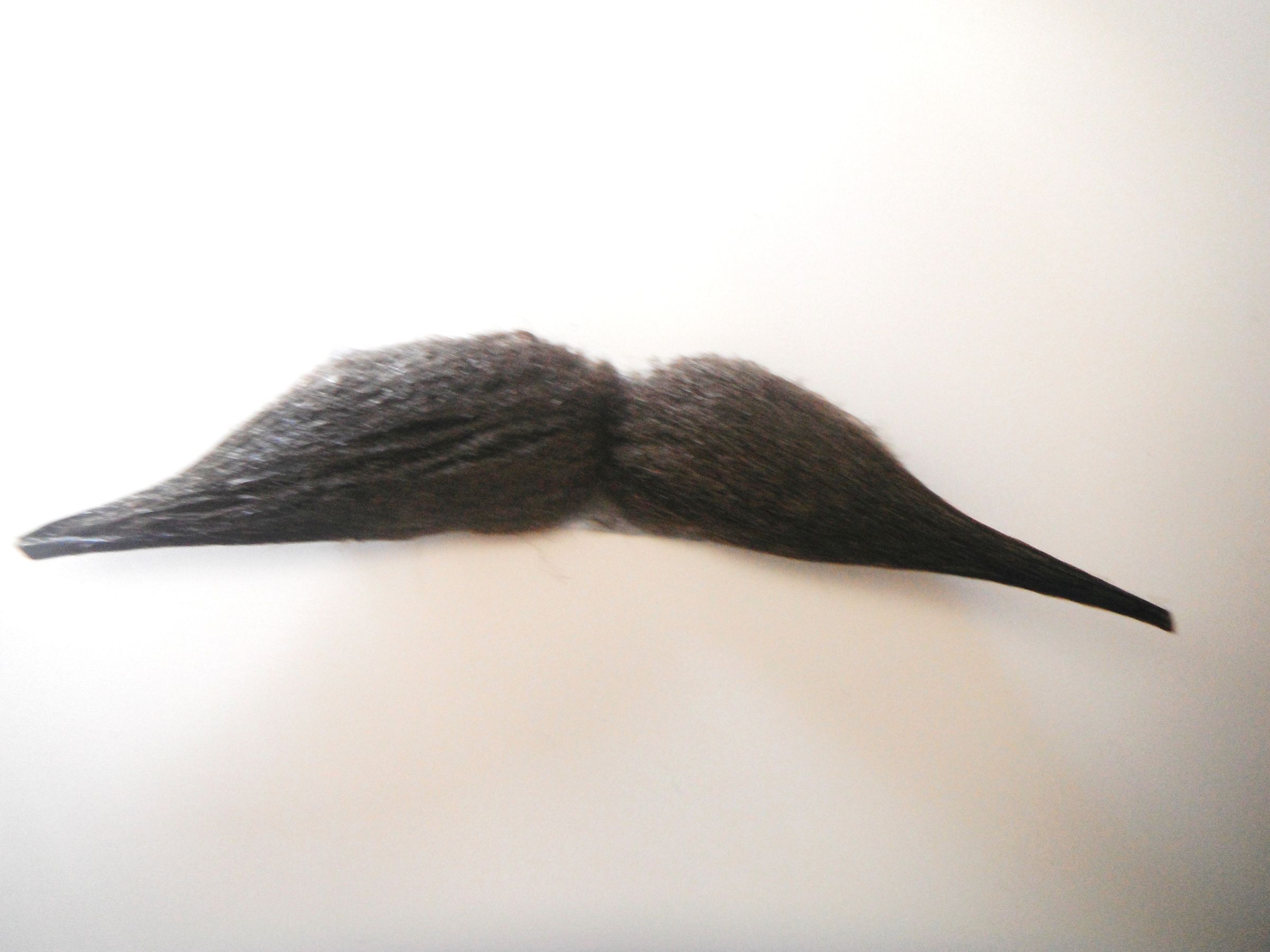 Mus-Stash