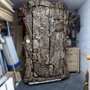 Tree Cabinet