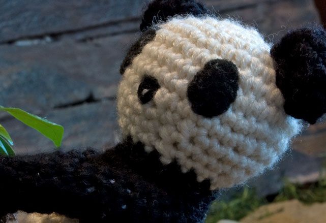 Pandita