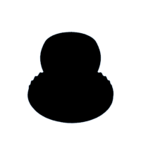 download {{ file.name }}