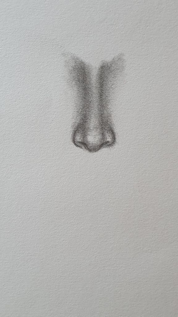 How To Draw A Realistic Nose From The Front 8 Steps