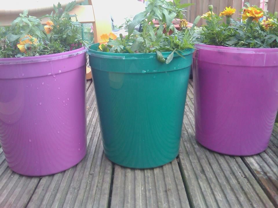 Make Your Own Colourful Plant Pots