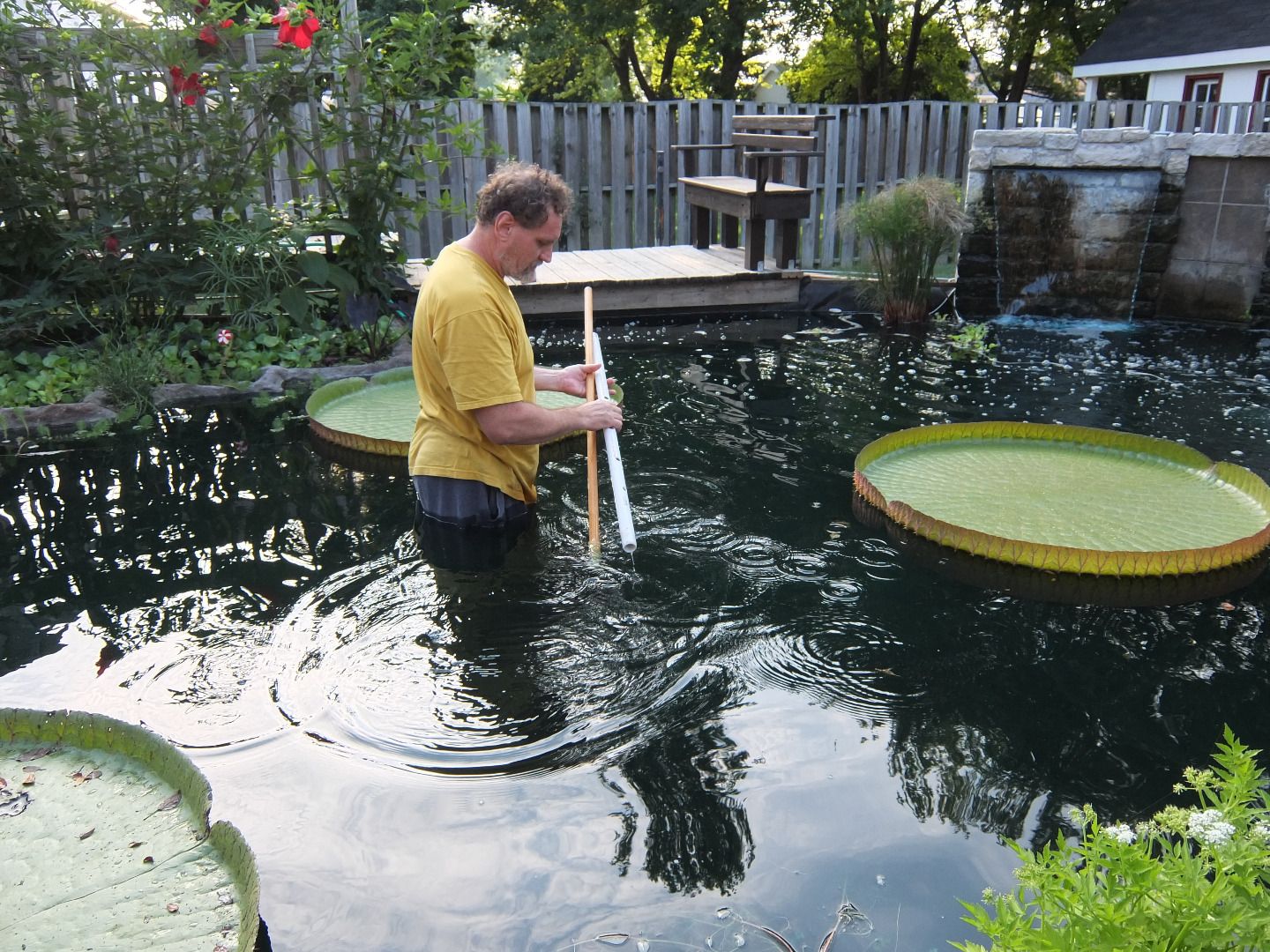 Pond Plant Fertilizer Tablet Insertion Tool 3 Steps Instructables