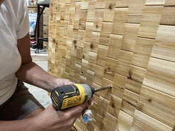 Back to the Butterfly House