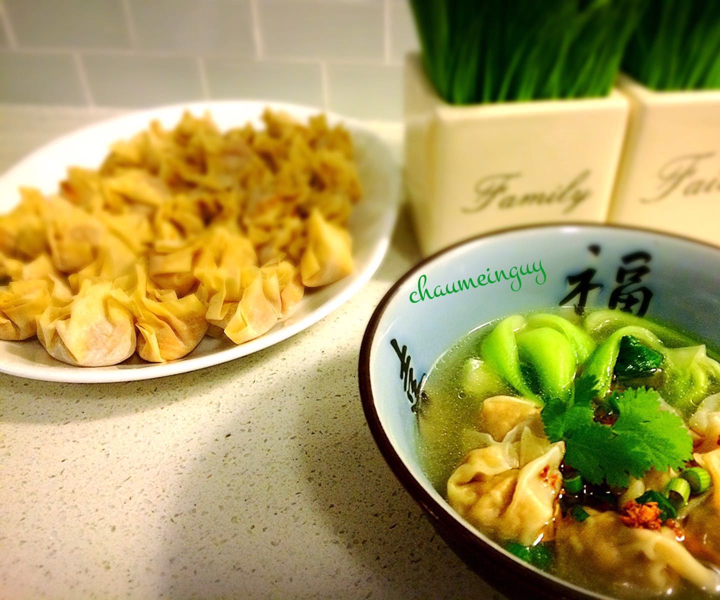 Home Made Wonton Soup
