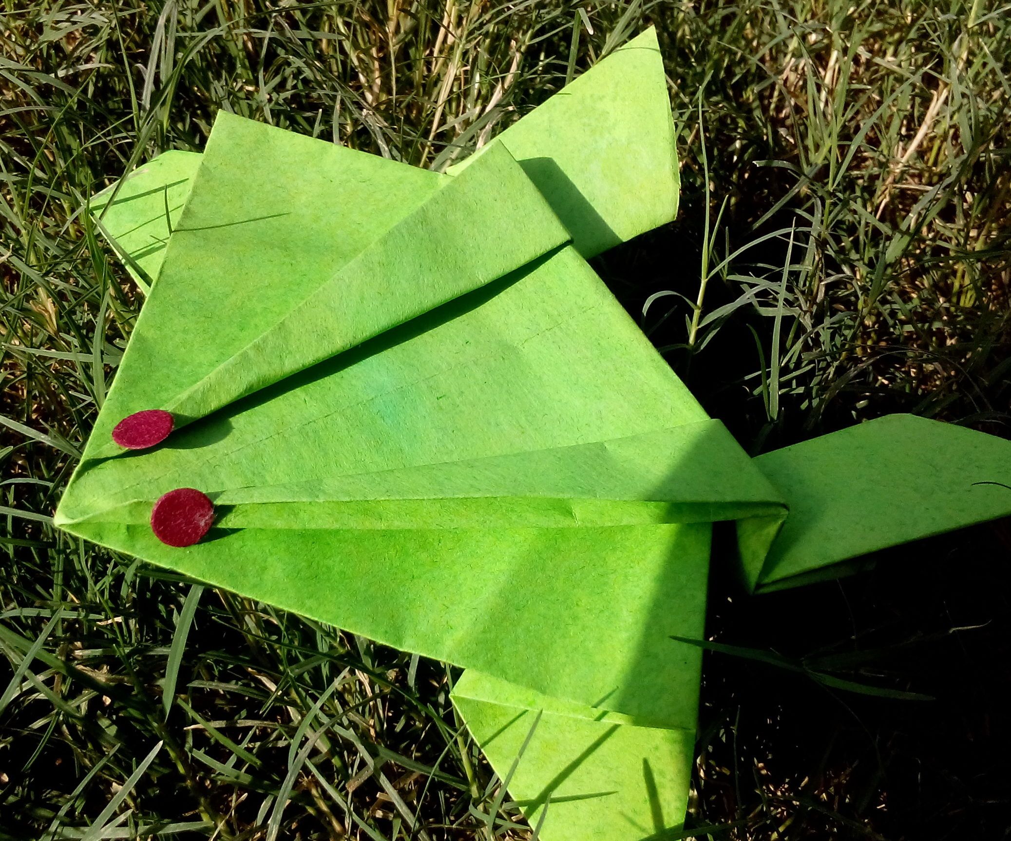  DIY Jumping Frog in 3 Minutes
