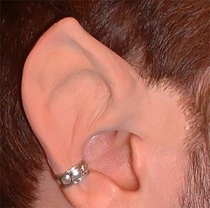 Elf Ears... in 5 Minutes! : 5 Steps (with Pictures) - Instructables