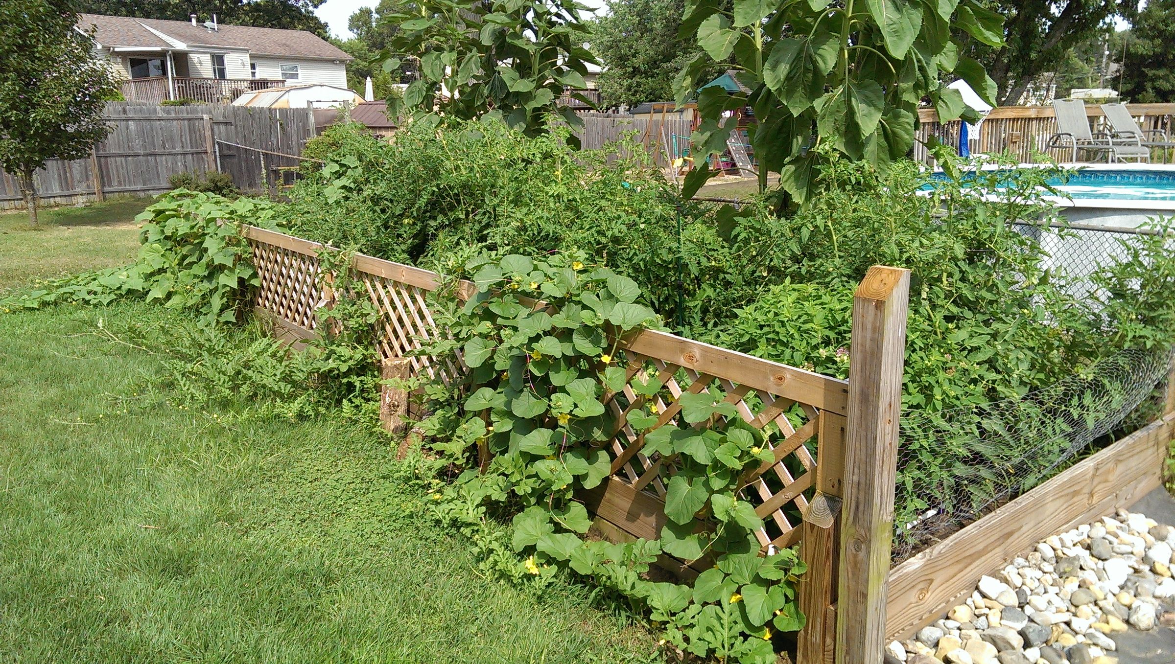 Automatic Garden Sprinkler