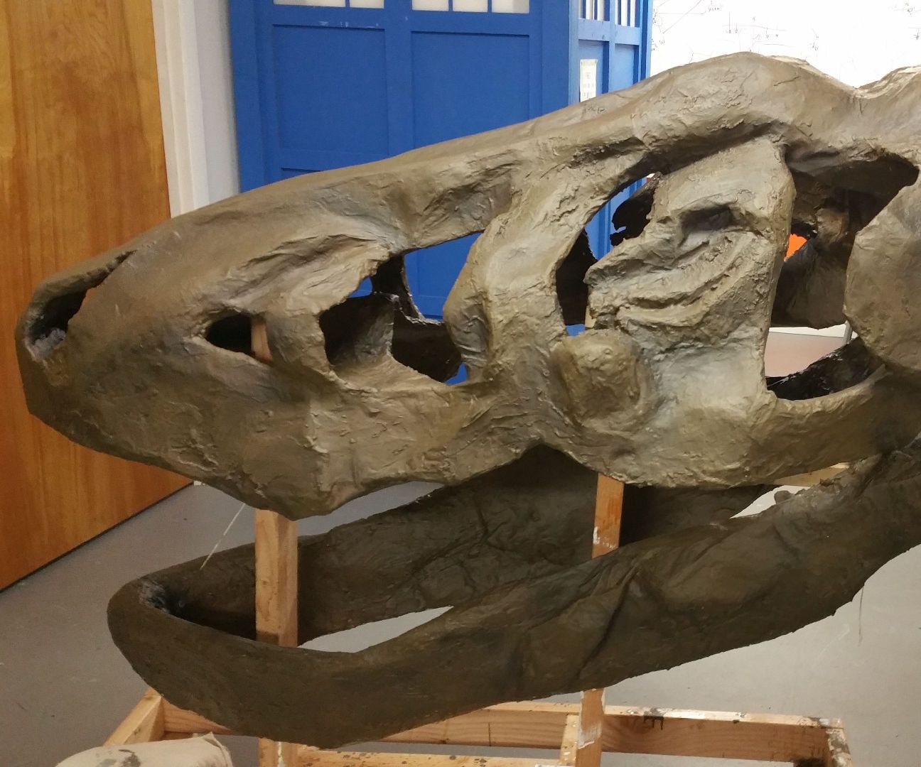 Rex Making Making a T-Rex Skull From Scratch : 11 Steps (with Pictures ...