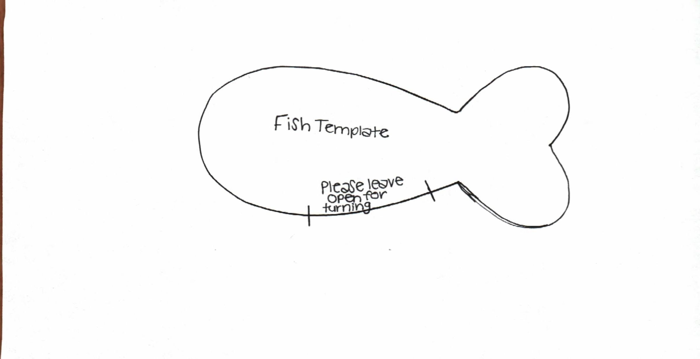 DIY Fish Cat Toy 6 Steps (with Pictures) Instructables