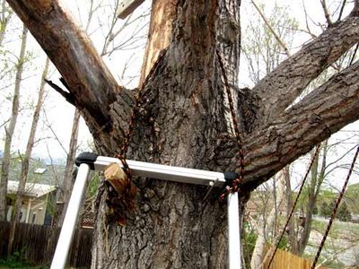 Cutting Down a Tree in Pieces : 21 Steps - Instructables