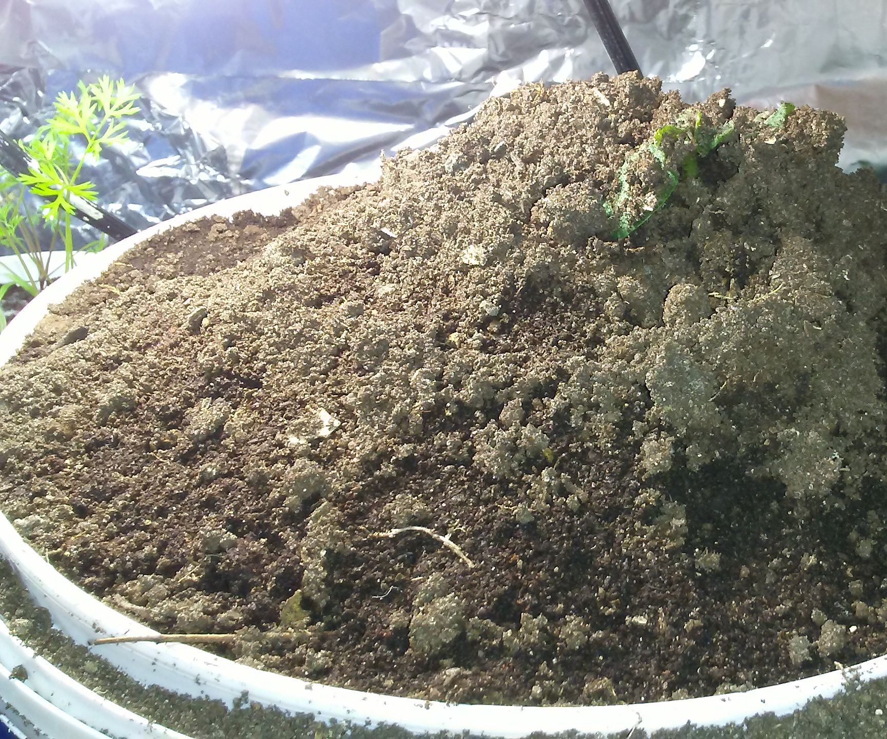 Preparing for 2019 Gardening (PHASE 2)