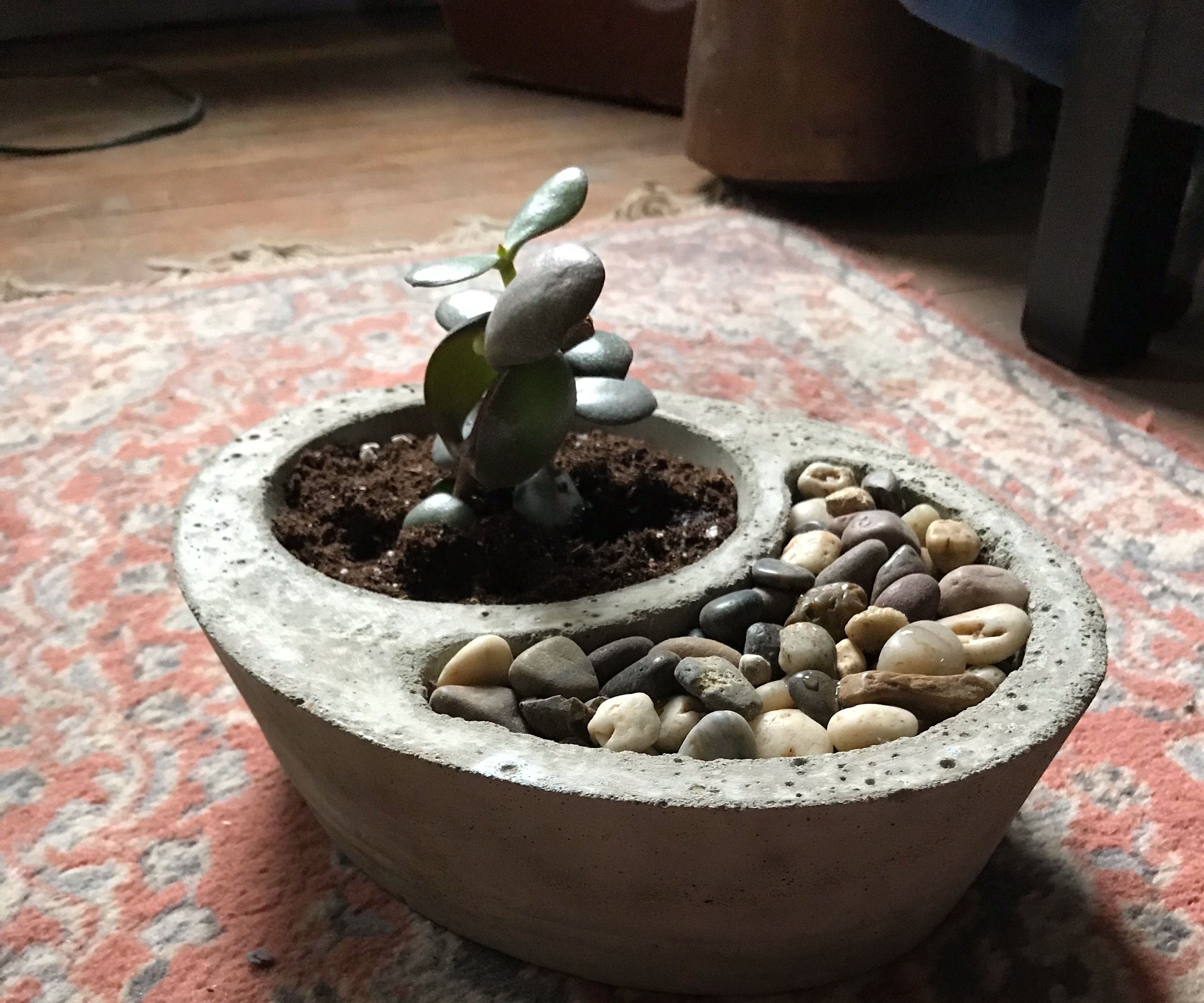 Self-watering Concrete Planter