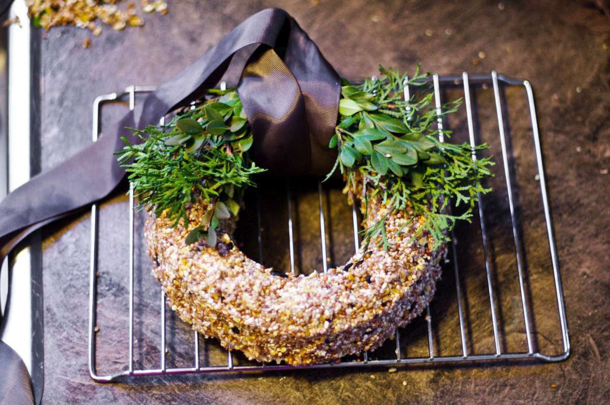 Gelatine Bird Seed Wreath! (with Pictures) Instructables