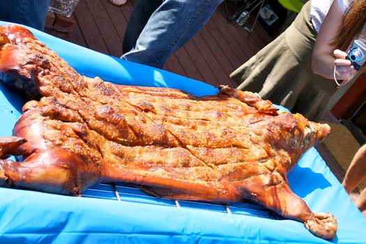 Build a Caja China ~ Roast a Pig in a Box : 10 Steps (with Pictures ...