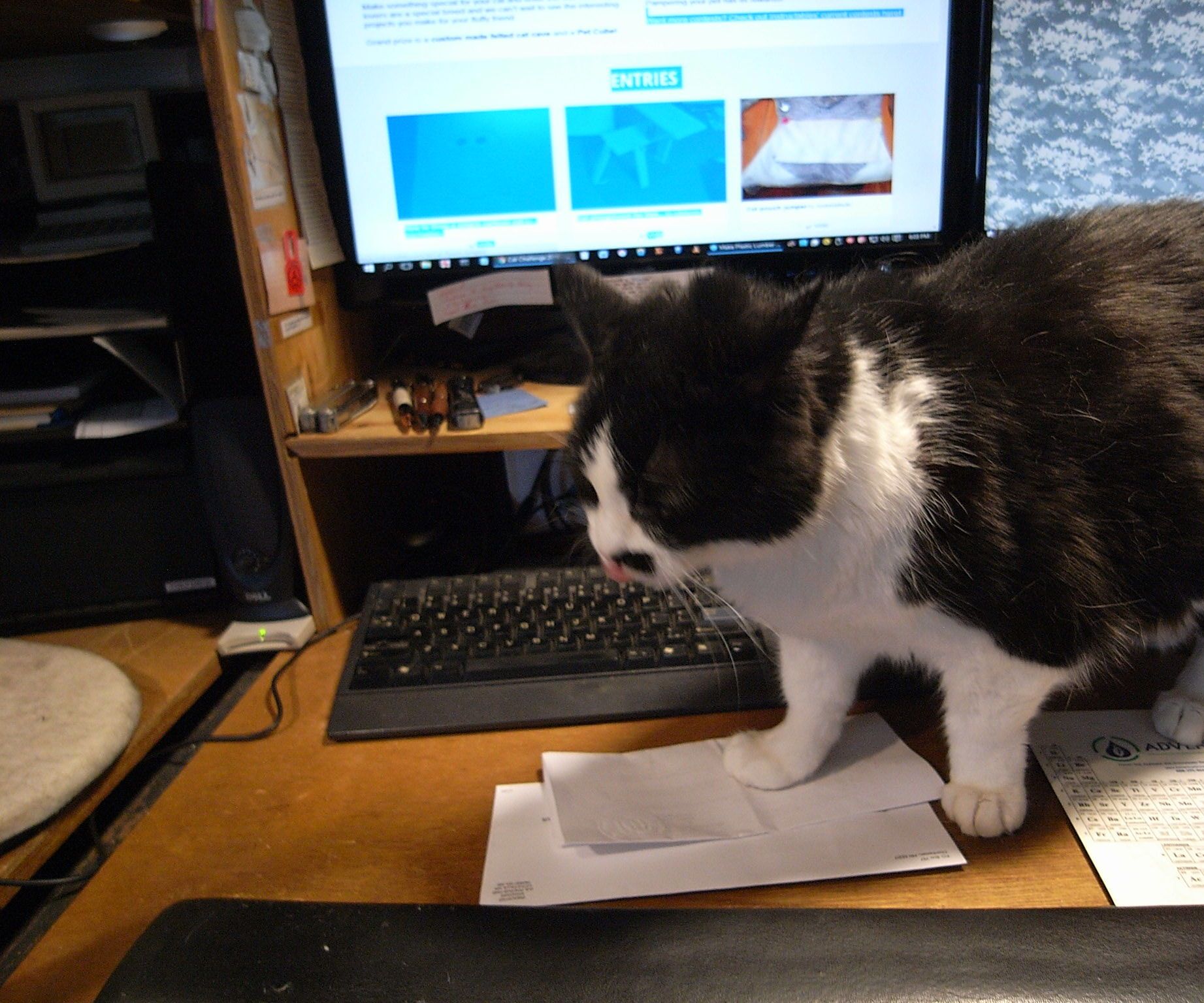 Anti-Keyboard Cat Attack Mat (AKCAM)