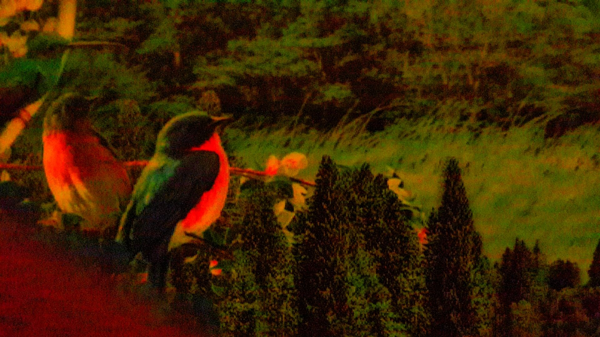 Make Your Room Smell Fresh & Summery