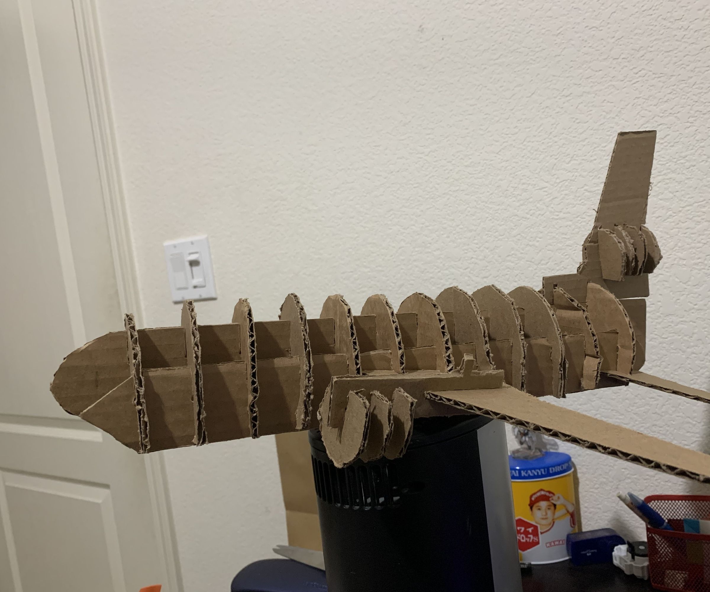 Cardboard MD DC-10