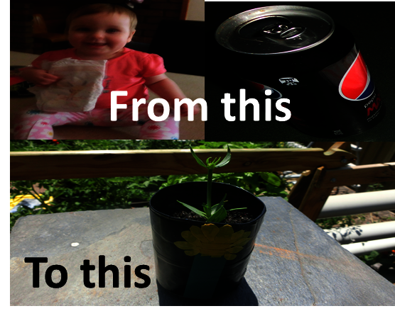 Can Diaper Plant Pot