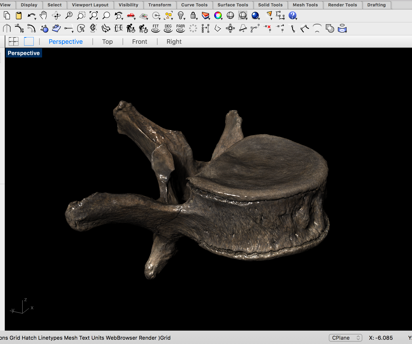 Metal Vertebra