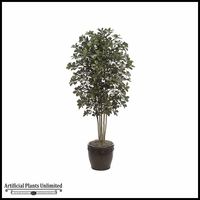 Business Enhancement With the Use of Artificial Indoor Trees