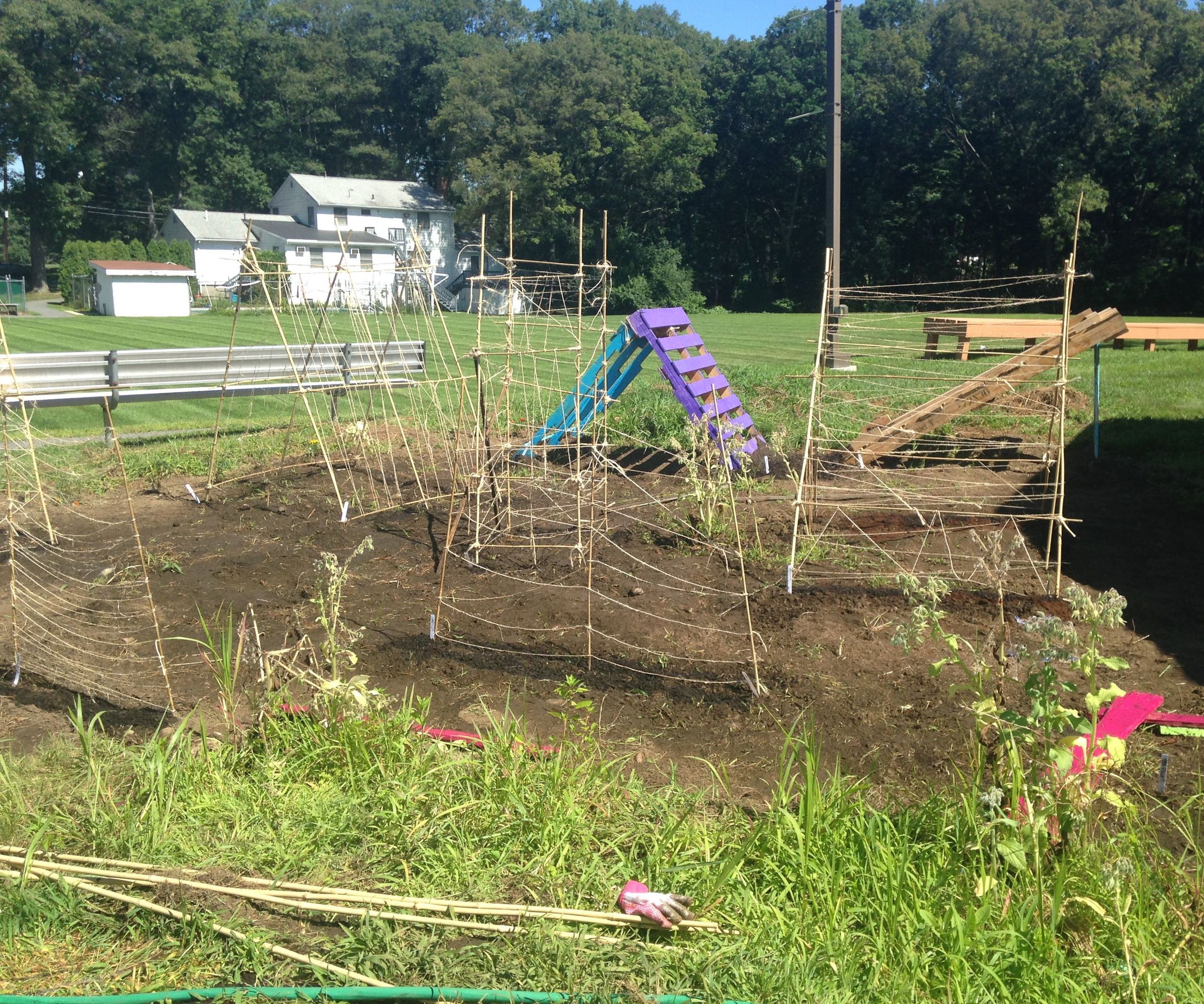 Upcycled Pallet Trellis