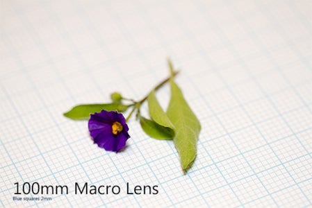 How to Make a Flash Diffuser for Macro Photography : 6 Steps (with