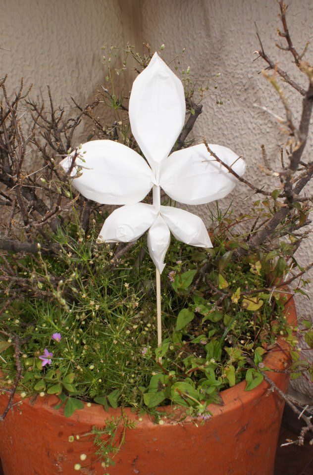 Origami Lily / Flor De Lis Origami