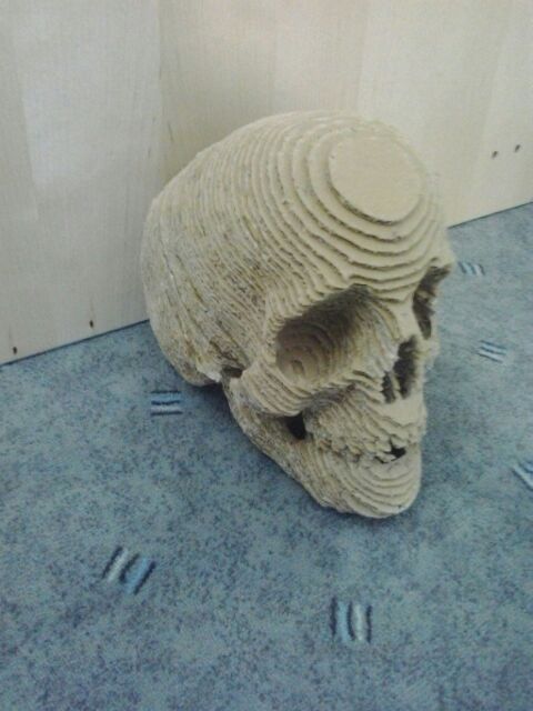 Cardboard Skull