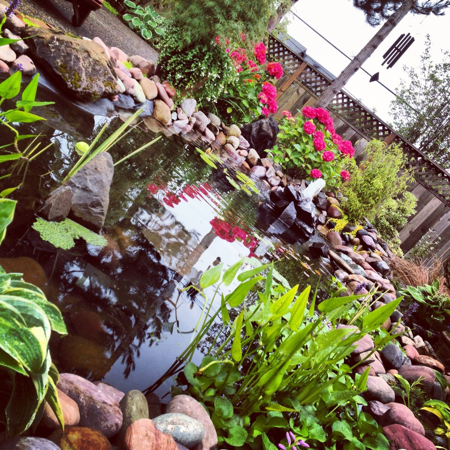 Simple Pond Fountain