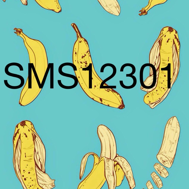SMSBACON12301