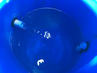 Spring Water Collection System : 16 Steps (with Pictures) - Instructables
