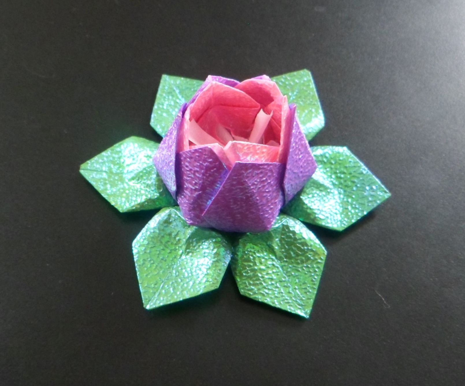Lotus Flower