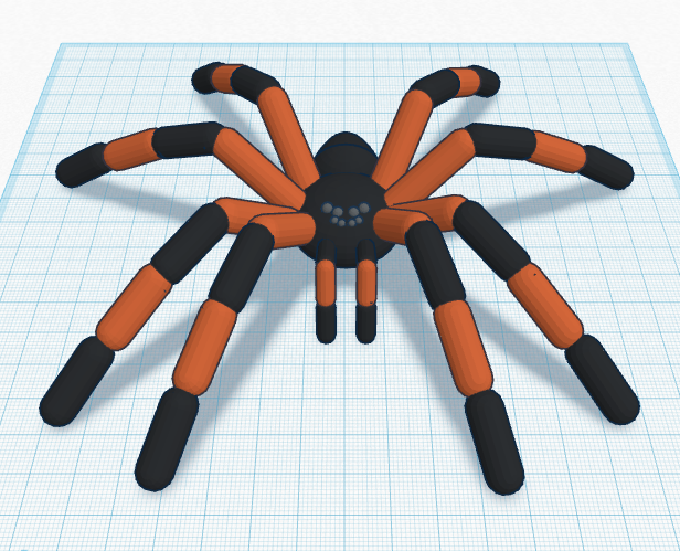 Spider.