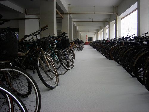                                             How to Bay a Bicycling