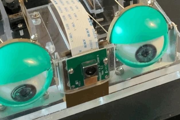 Controlling a Pair of Robotic Eyes