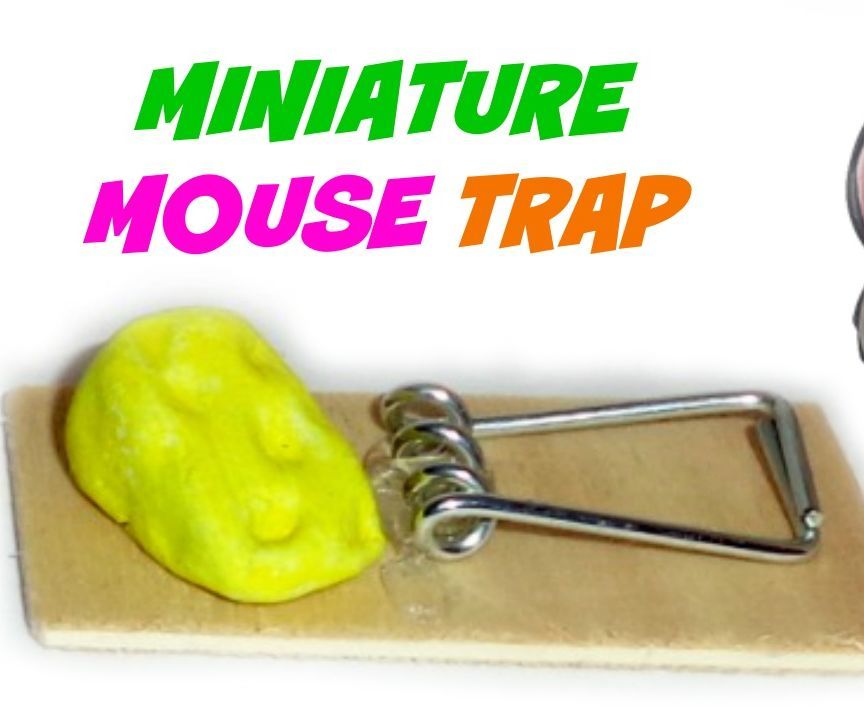 Miniature Mouse Trap Diy