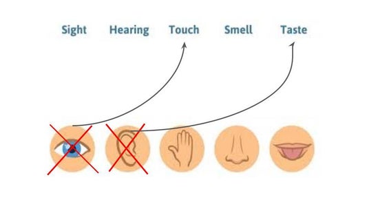 How Does This Relate to Sensory Substitution?