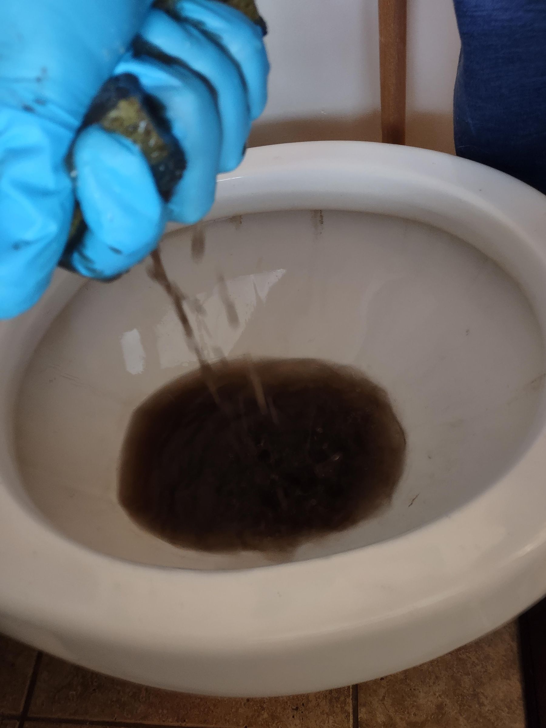 Fix a Toilet Tank Loose Handle, Discolored Water, and High Water Level
