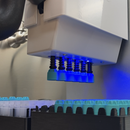 Test Tube and Cap Holding Racks for COVID-19 Rapid Testing