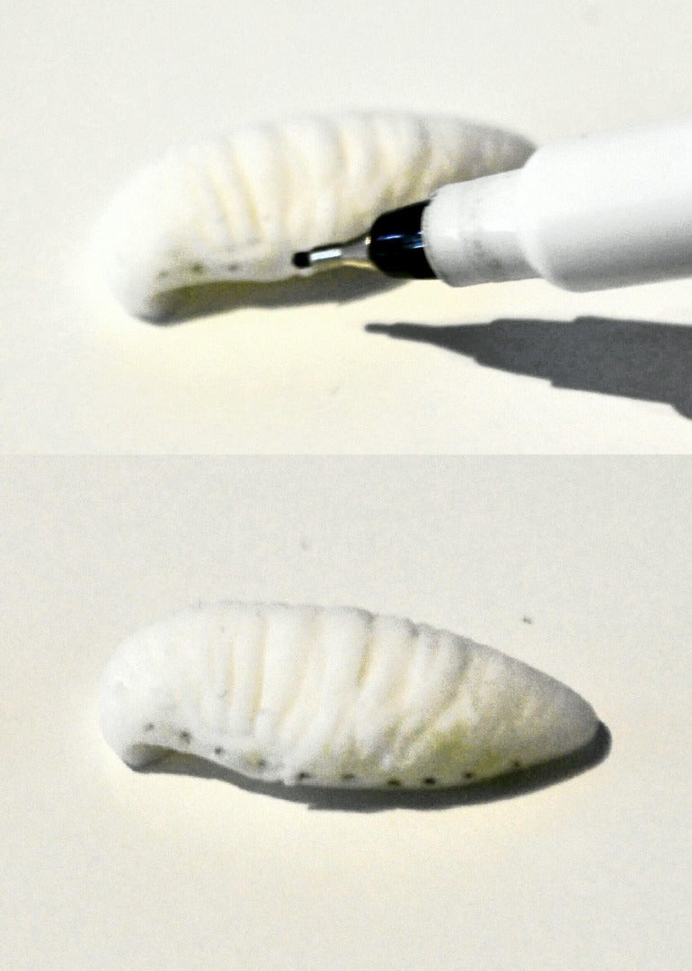 How to Sculpt Realistic Larvae and Maggots