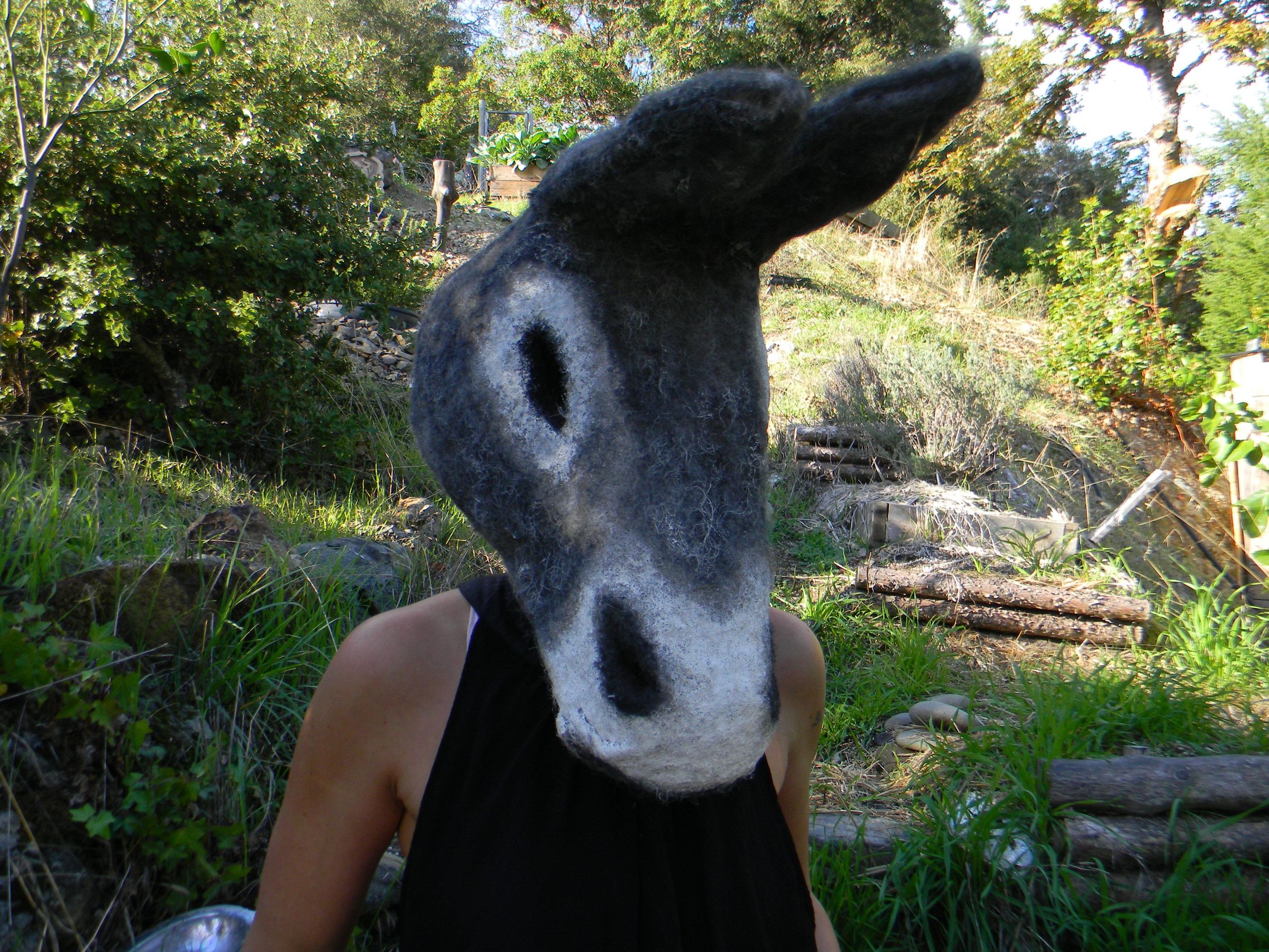 offgrid jenny