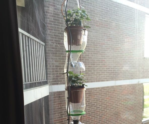 Automated Window Farm