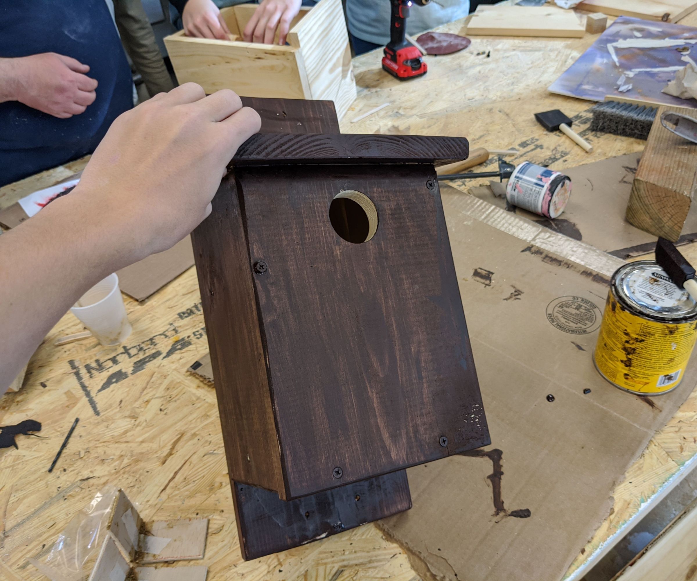 Bluebird House DIY