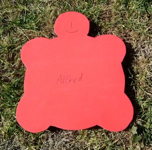 Draw the Nose and Mouth