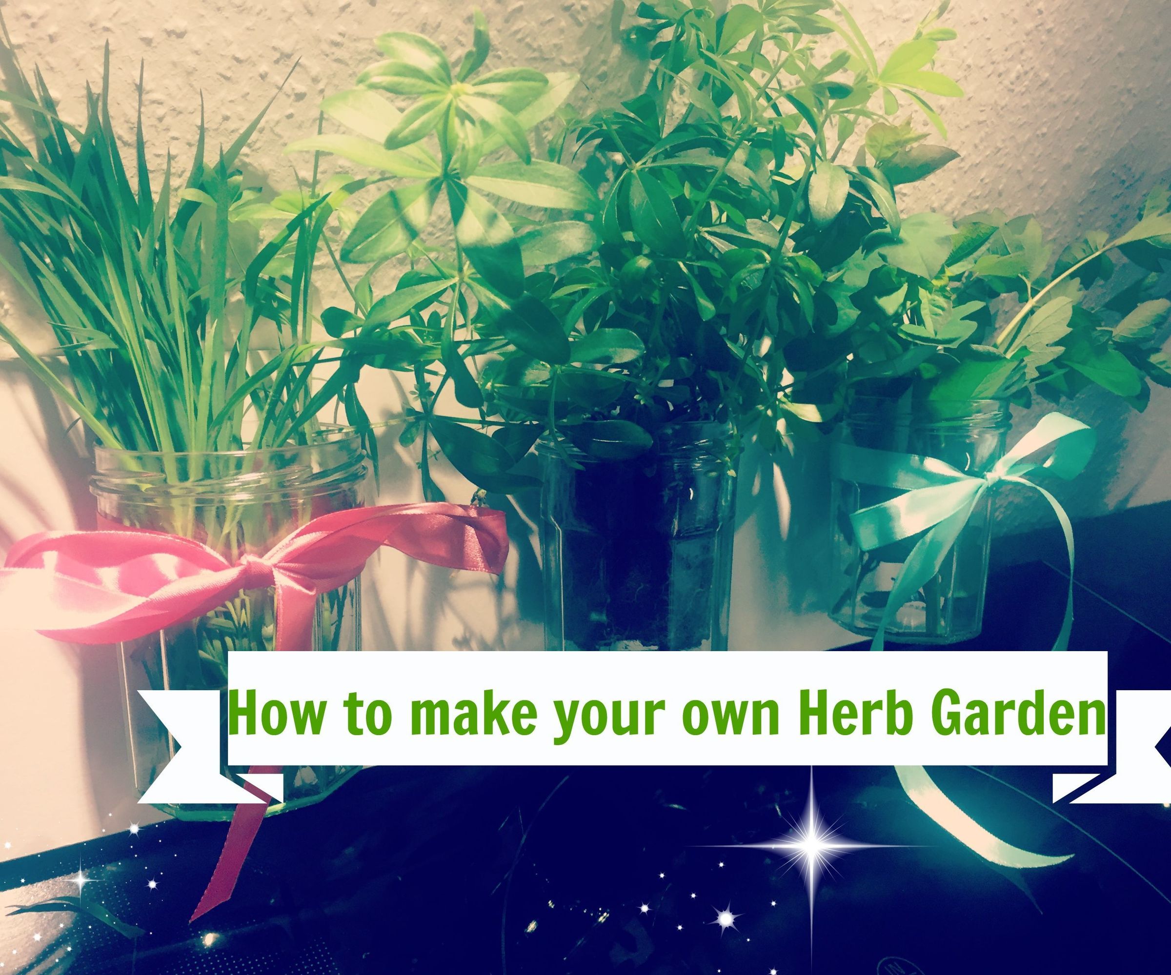 How to Make Your Own Herb Garden