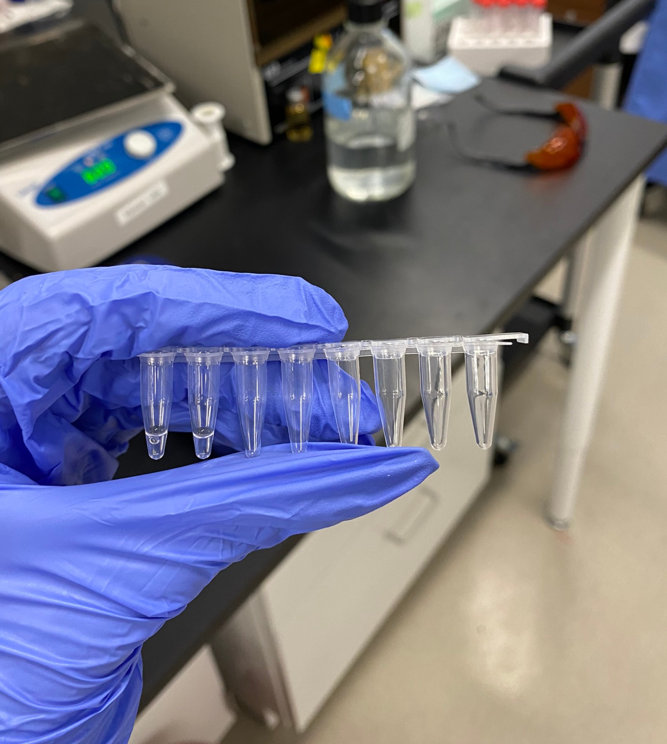 Mastering Molecular Cloning a Guide to Polymerase Chain Reaction (PCR