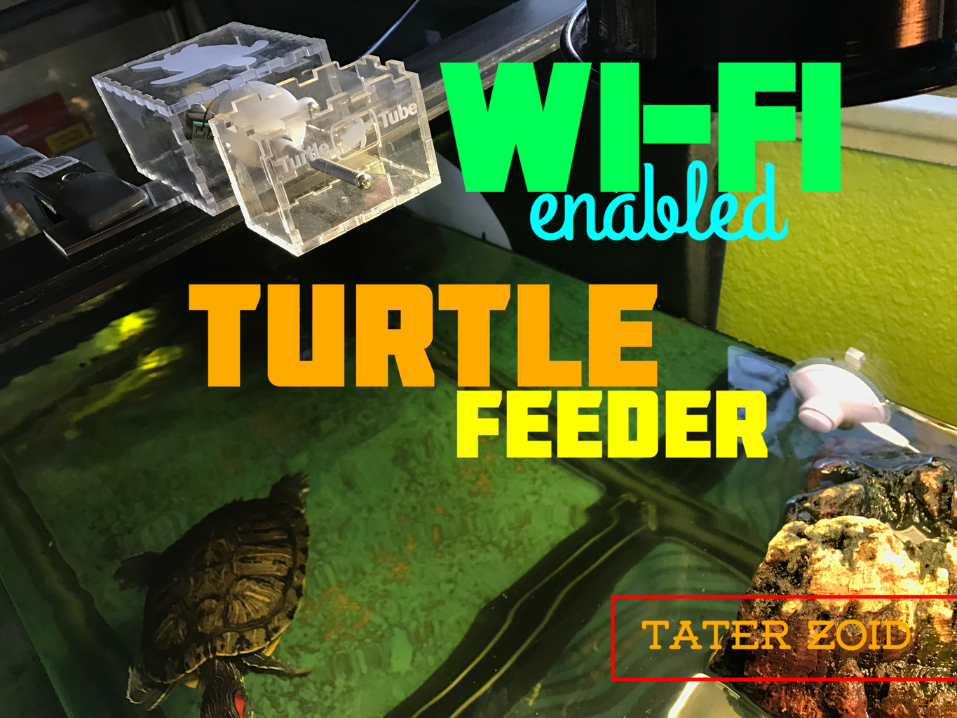 Turtle feeder best sale